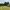 image7 image7