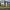 image1 image1