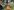 image3 rotated e1629303620886