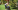 EasyMixComposter-TurnMix EasyMixComposter-TurnMix