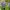 hyacinth-4973655_1920 hyacinth-4973655_1920