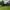 image1 image1