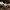 snowdrop-4770493_1920 snowdrop-4770493_1920
