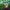 steffi-pereira-Pv_Mut-lvWg-unsplash pumpkin growing