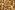 tulip-bulbs-4460401_1920 tulip bulbs 4460401 1920