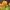tulips-690320_1920 tulips-690320_1920