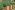 garden-g5cc6f126e_1920 garden g5cc6f126e 1920