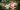 nong-vang-cnNzlMNPRwc-unsplash Autumn leaves in a composter