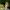 animal-gf18488b2e_1920 animal-gf18488b2e_1920
