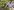 1352-BioforceRevolution-TurnHandle 1352 BioforceRevolution TurnHandle