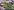 1755-BlanketWeed-Brush2-LOW-e1629385300520-400x400 1755-BlanketWeed-Brush2-LOW-e1629385300520-400x400