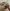 pexels-kulbir-9311882 pexels kulbir 9311882