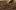 Soil Soil