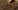 Soil Soil
