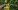 100-100-224 Nozzle-ActionTomatoes01 100-100-224 Nozzle-ActionTomatoes01