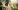 Close,Up,Of,Strong,Man,In,Gloves,Cutting,Leaves,In Take Cuttings