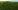 Green Landscaping Green Landscaping