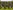 Chelsea Banner Image 2