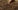 Expert,Hand,Of,Farmer,Checking,Soil,Health,Before,Growth,A Expert,Hand,Of,Farmer,Checking,Soil,Health,Before,Growth,A