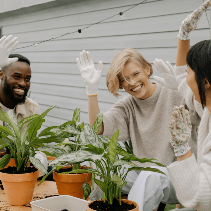 Gardening Community Gardening Community