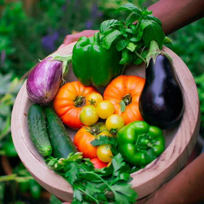 Plant Produce Plant Produce