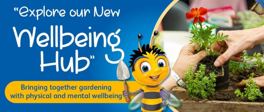 WebBanner1140x487px Wellbeing GB