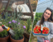 7 Watering Tips for a Healthier Garden From @bethsgardendiary