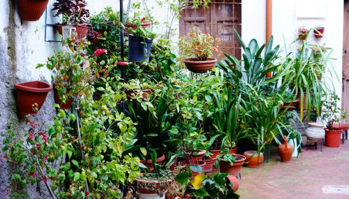 Efficient Garden Efficient Garden