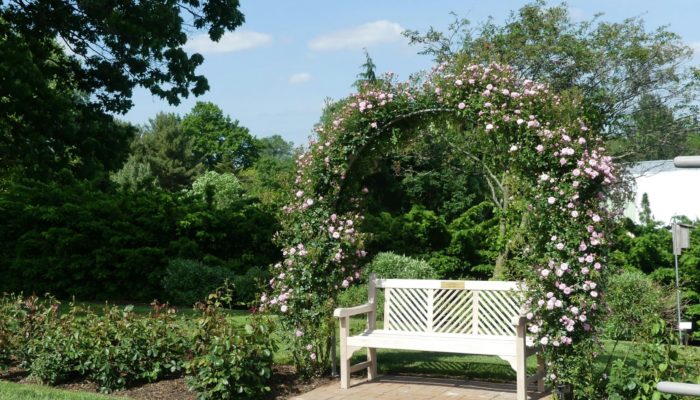 Garden Bench Garden Bench