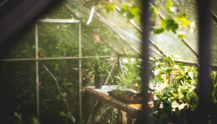 Greenhouse Greenhouse