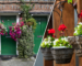 Hanging Basket Tips