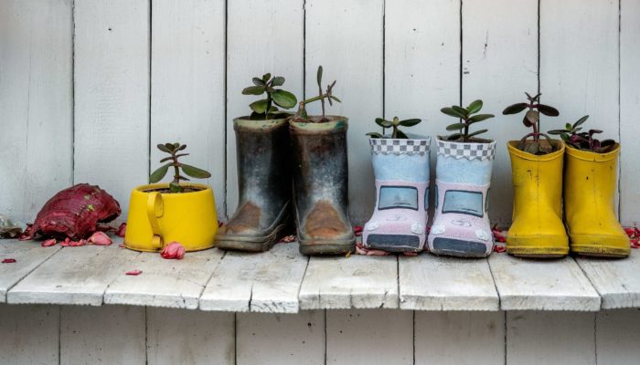 Repurposed Planter Repurposed Planter