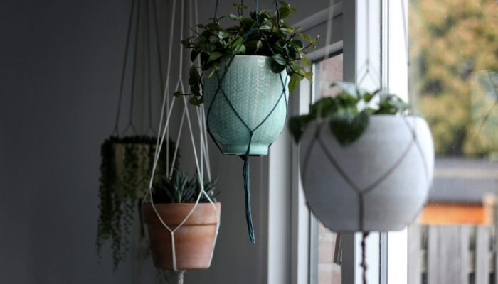 Self-Watering Hanging Baskets Self-Watering Hanging Baskets