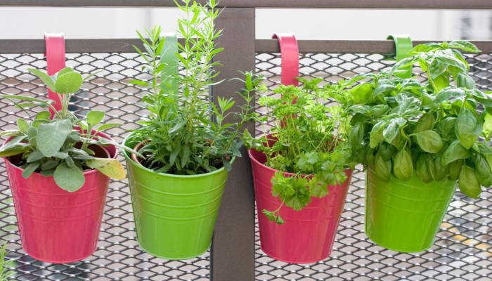 Vertical Gardening Vertical Gardening