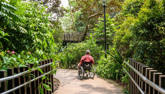 Wide Pathway Accessible Gardening for People with Disabilities