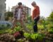 Why Growing Your Own is Simply the Best!