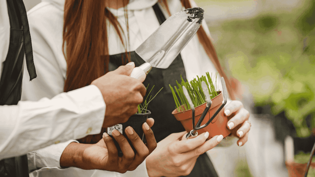 What I Wish I knew When I started Gardening 1